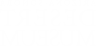 亚利桑那-索诺拉<a href='http://weo1.rnrbuilders.com'>网上买球十大正规平台</a>